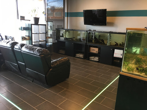 Computer Store «BrainWave Computers», reviews and photos, 8610 SW Scholls Ferry Rd, Beaverton, OR 97006, USA