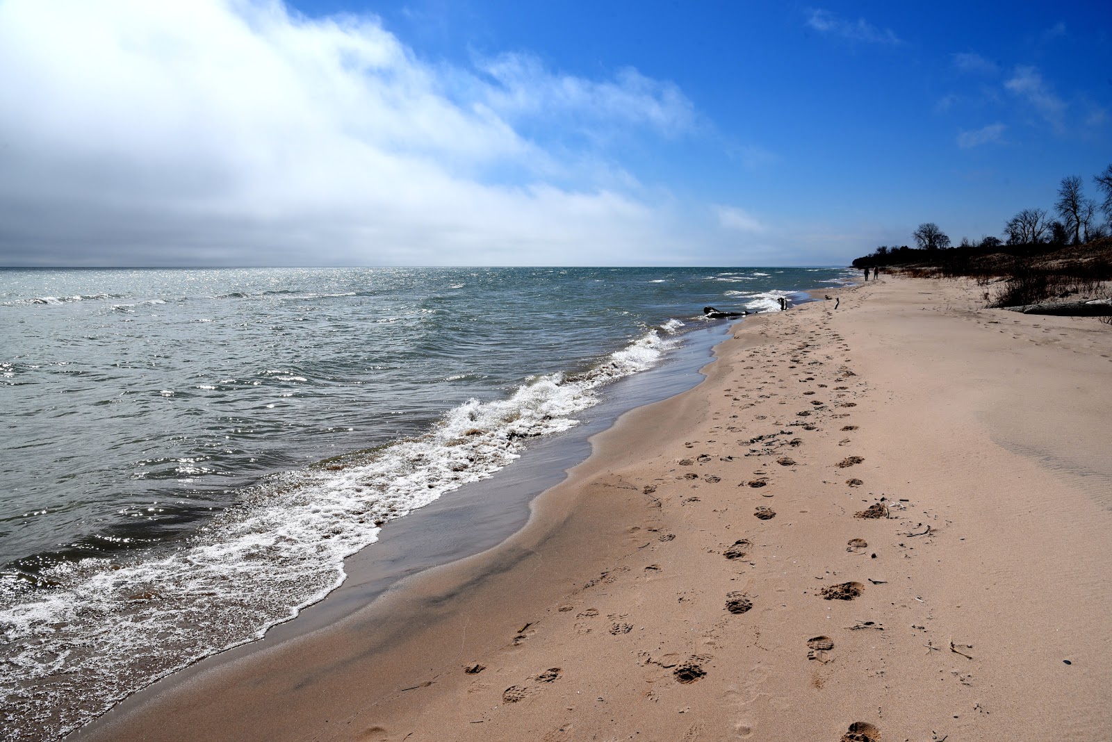 Kohler-Andrae Beach'in fotoğrafı çok temiz temizlik seviyesi ile