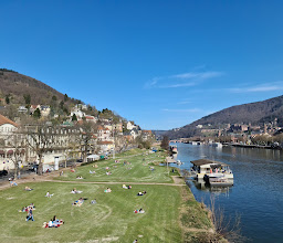 Schwanenbucht, Neckarwiese photo