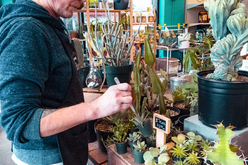 Pet Supply Store «Fang & Feather - Kenton Neighborhood Pet Supply», reviews and photos, 3131 N Lombard St, Portland, OR 97217, USA