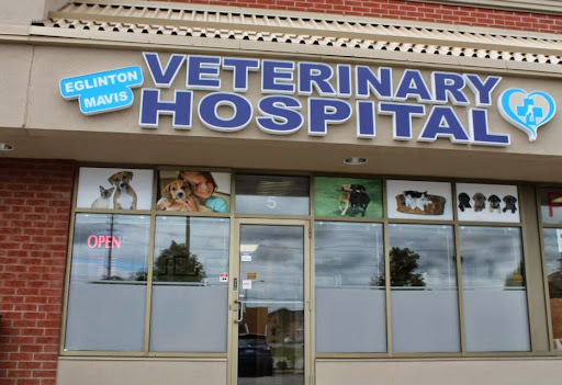 Eglinton Mavis Veterinary Hospital Mississauga