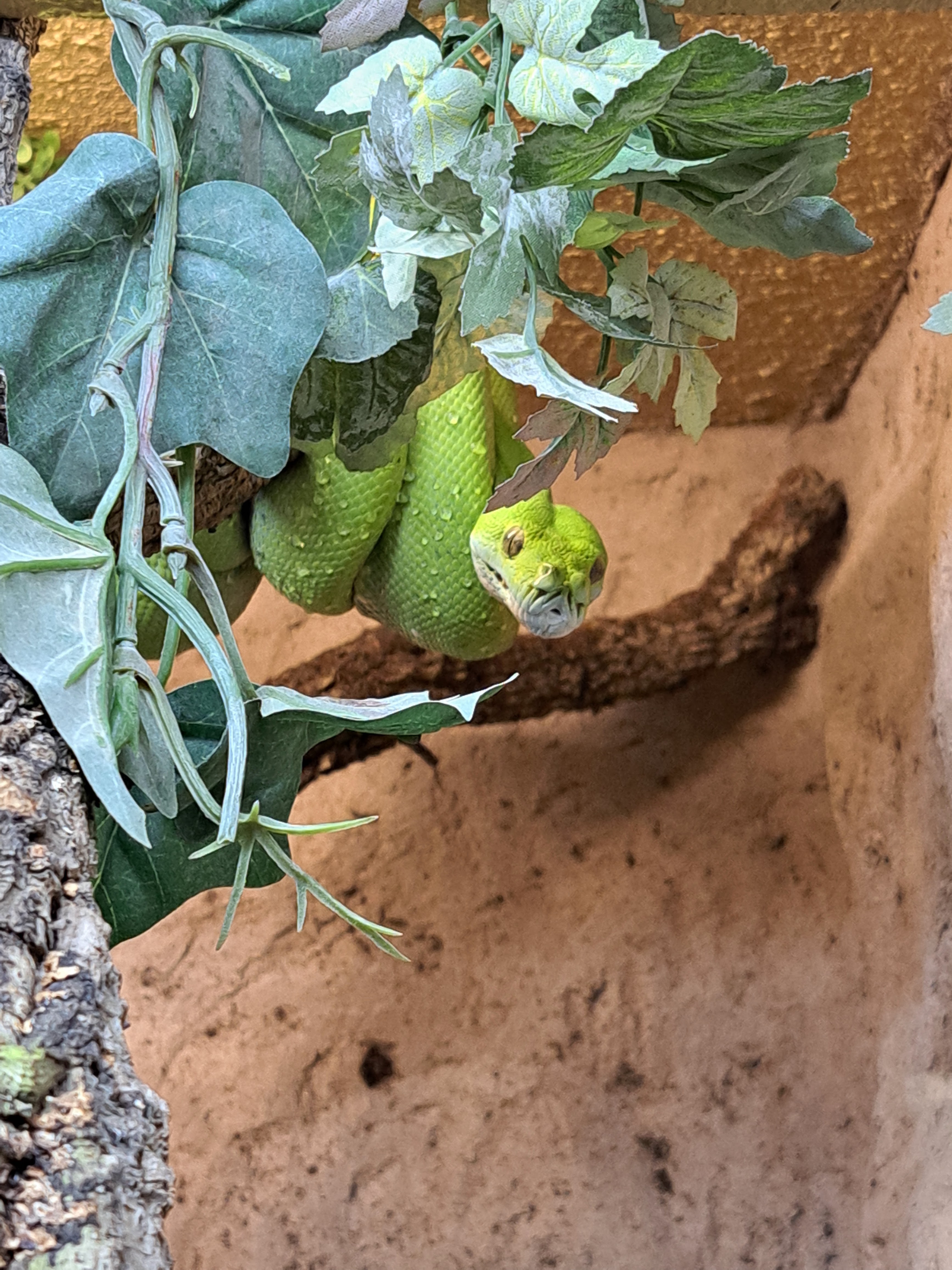 Photo n° 4 de l'avis de Antoine.l fait le 29/10/2023 à 17:34