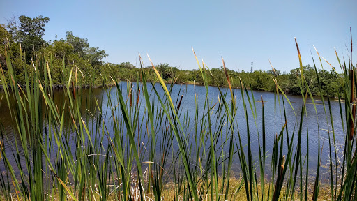 Wildlife Refuge «Ding Darling Wildlife Refuge», reviews and photos, 1 Wildlife Dr, Sanibel, FL 33957, USA