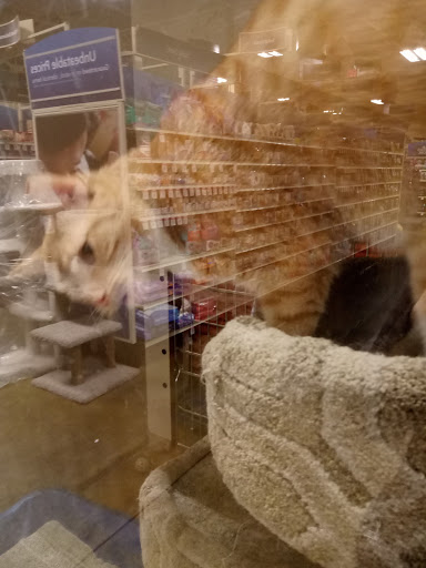 Pet Supply Store «PetSmart», reviews and photos, 745 W Huntington Dr, Monrovia, CA 91016, USA