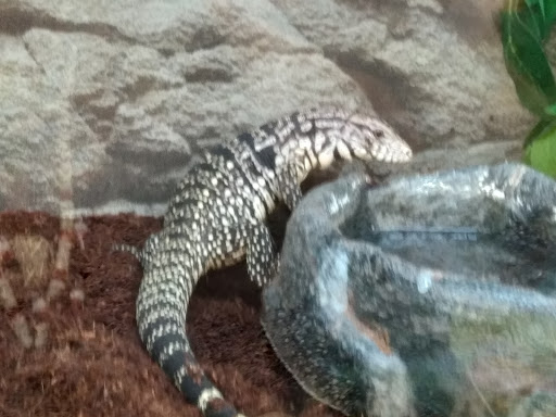 Pet Supply Store «Petco Animal Supplies», reviews and photos, 3444 S Mooney Blvd, Visalia, CA 93277, USA