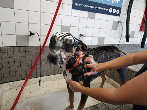 Pet Supply Store «Pet Food Express», reviews and photos, 6398 Telegraph Ave, Oakland, CA 94609, USA