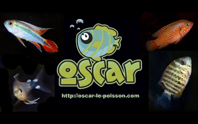 Oscar-le-poisson.com