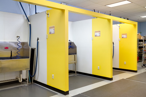 Pet Store «Dog Wash Etc», reviews and photos, 1037 Forest Ave, Portland, ME 04103, USA