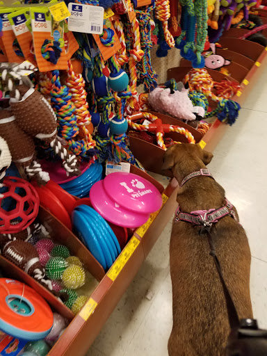 Pet Supply Store «PetSmart», reviews and photos, 67 Consumer Square, Plattsburgh, NY 12901, USA
