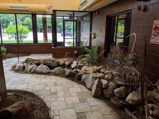 Drain Cleaner Sterling Heights