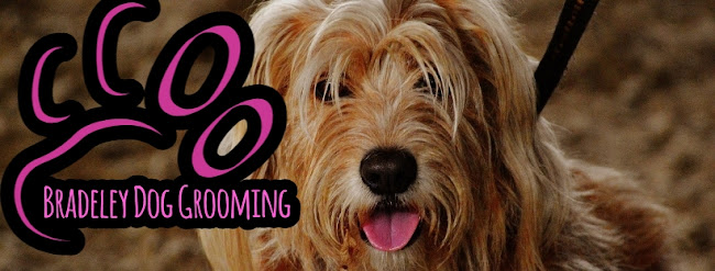 Bradeley Dog Grooming - Dog trainer