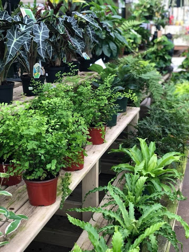 Garden Center «H J Benken Florist & Garden», reviews and photos, 6000 Plainfield Rd, Cincinnati, OH 45213, USA