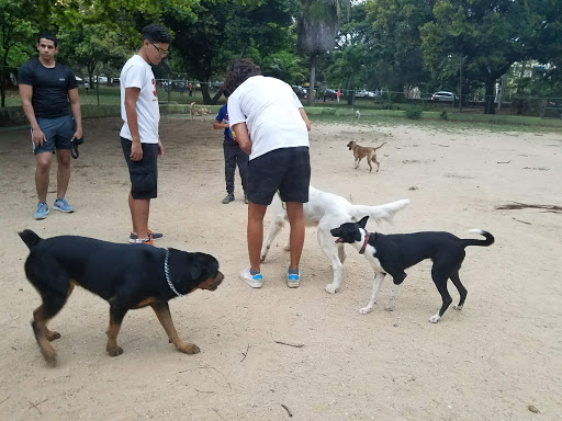 Corral canino parque para perros.