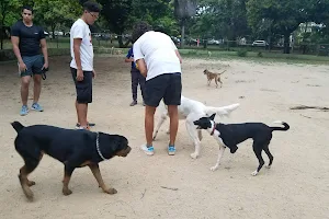 Corral canino parque para perros. image