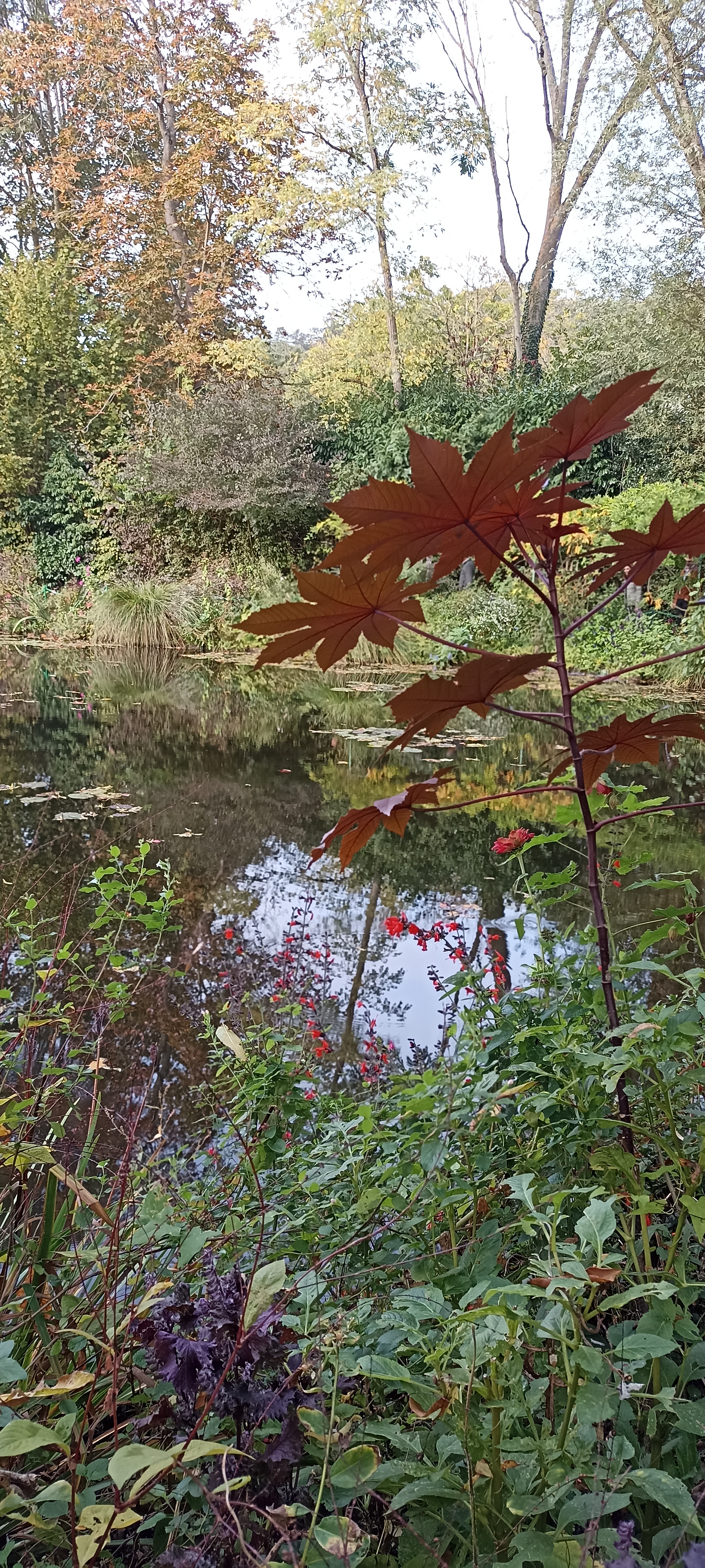 Photo n° 4 de l'avis de Verginia.H fait le 01/11/2022 à 18:08