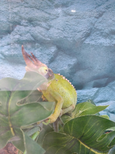 Pet Supply Store «Petco Animal Supplies», reviews and photos, 438 Southbridge St, Auburn, MA 01501, USA