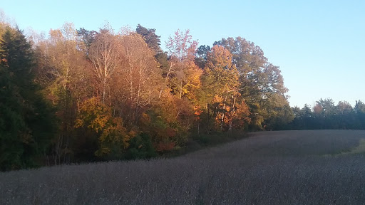 National Park «Wilderness Battlefield», reviews and photos, 35347 Constitution Hwy, Orange, VA 22160, USA