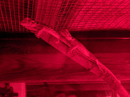 Pet Supply Store «Petco Animal Supplies», reviews and photos, 1111 S Main St #100, Bowling Green, OH 43402, USA