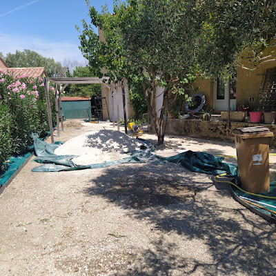 De Palmas Paysage à Arles