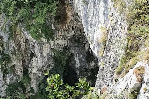 Riserva naturale Valle Bova image