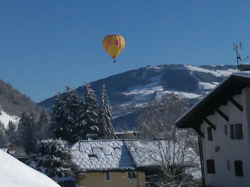 Copropriete Le Plein Soleil à Praz-sur-Arly