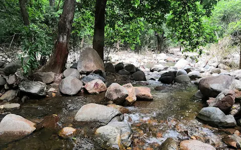 Ratanmahal Sloth Bear Sanctuary image