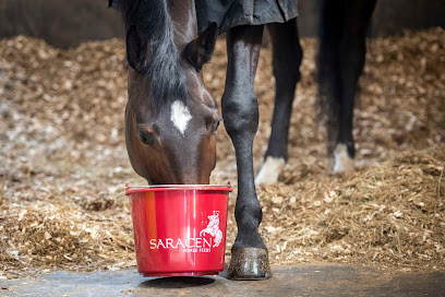 Saracen Horse Feeds Danmark