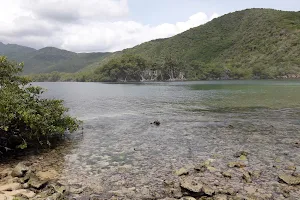 Laguna de la Bocaina image