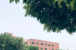 GC Women University Faisalabad image