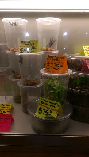 Reptile Store «Pets & Things», reviews and photos, 44825 Van Dyke, Utica, MI 48317, USA