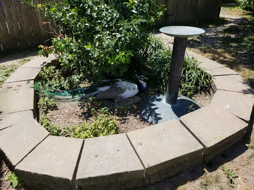 Tourist Attraction «Tree To Tree Cape May», reviews and photos, 707 U.S. 9, Cape May Court House, NJ 08210, USA