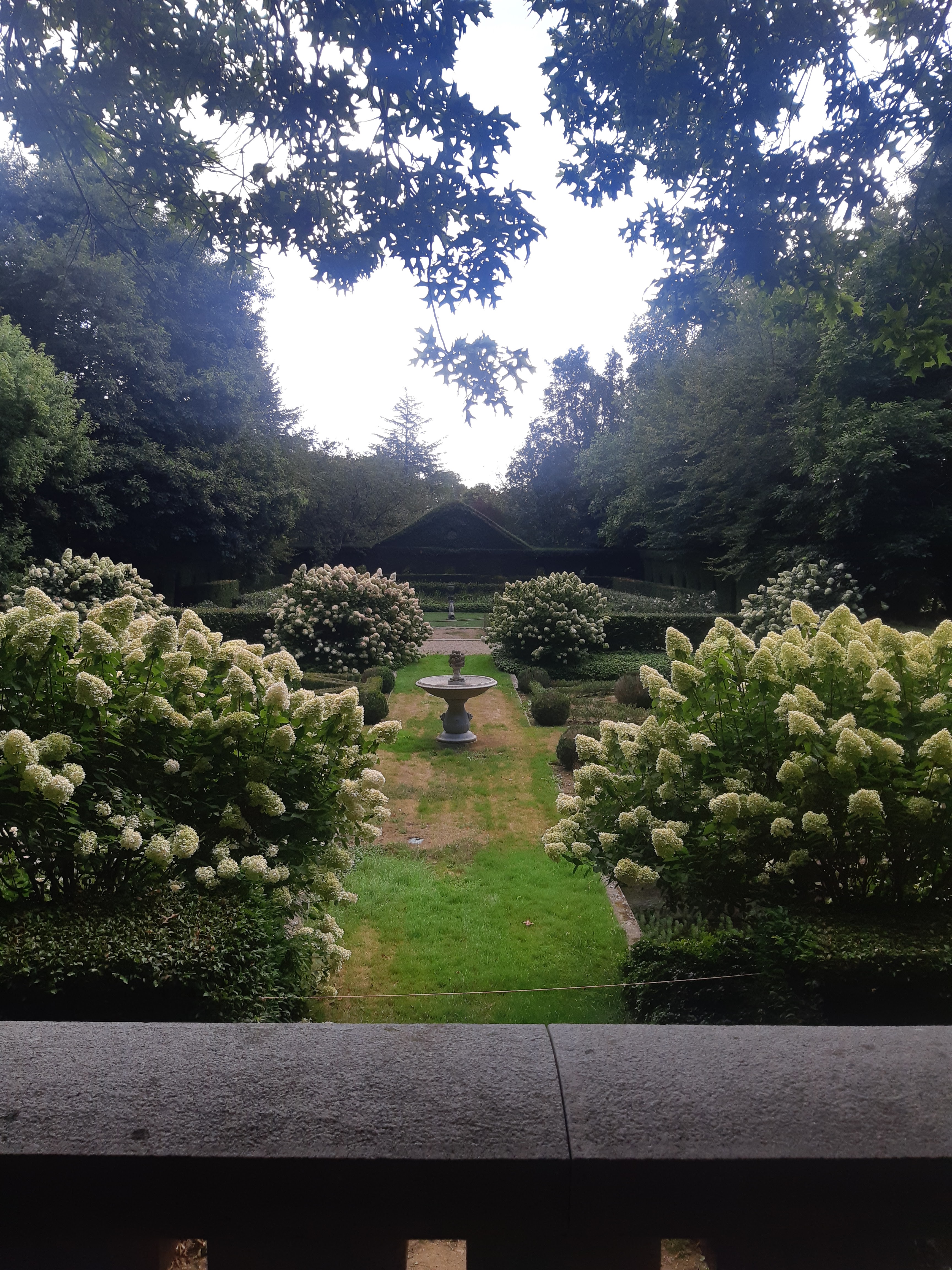 Photo n° 17 de l'avis de Monnin.h fait le 30/08/2022 à 15:51