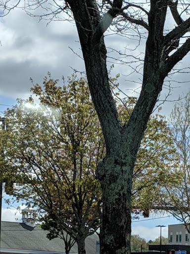 Shopping Mall «R.K. Centre», reviews and photos, 201 Boston Post Rd W, Marlborough, MA 01752, USA