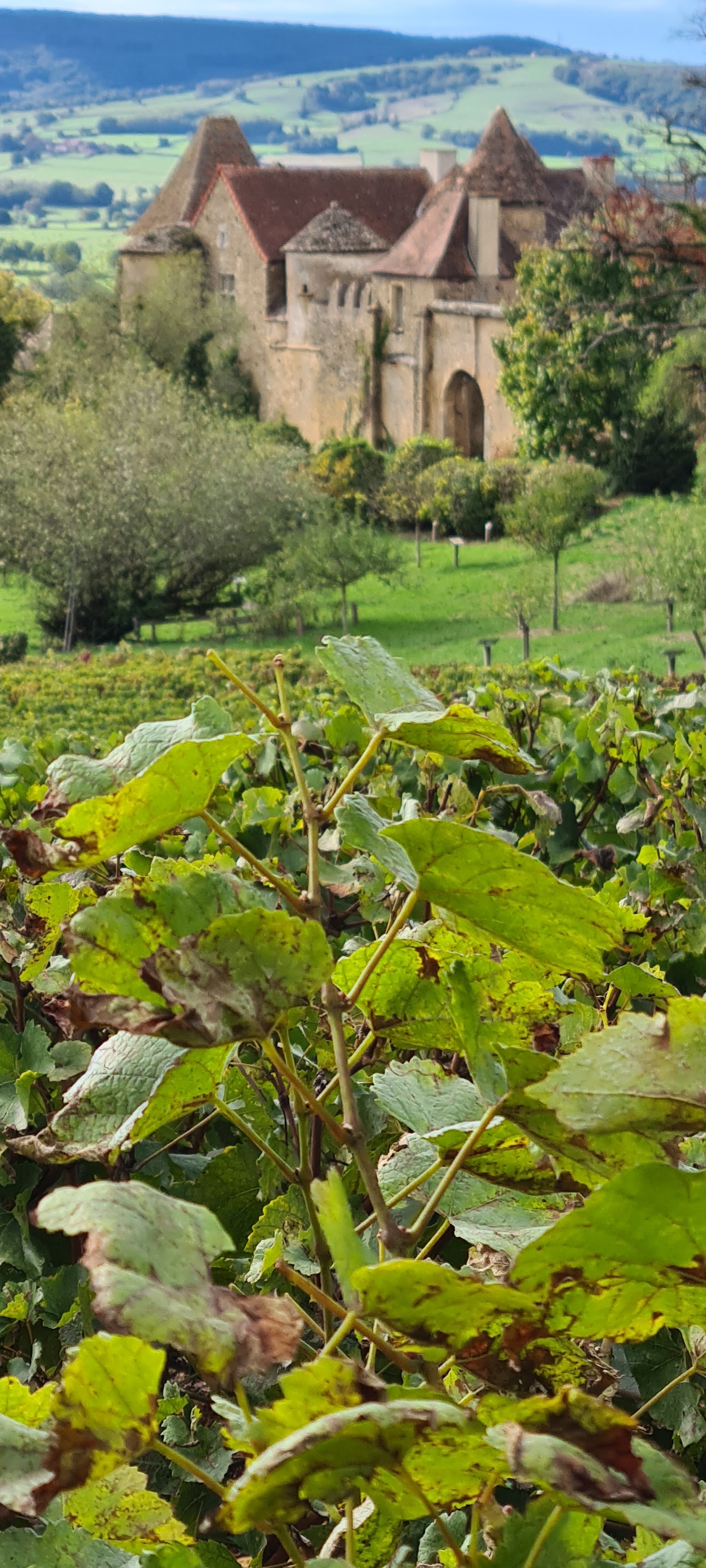 Photo n° 1 de l'avis de VAIRET.r fait le 02/10/2022 à 14:19