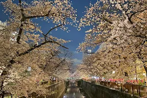 Sakura Bridge image