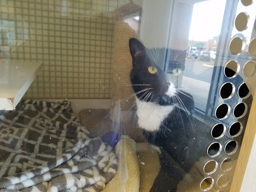 Pet Supply Store «Petco Animal Supplies», reviews and photos, 18578 Coastal Hwy #12, Rehoboth Beach, DE 19971, USA