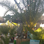 Photo n° 2 de l'avis de Mymy. fait le 14/08/2023 à 10:11 pour Le Faré à Biscarrosse