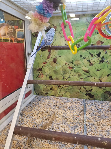 Pet Supply Store «PetSmart», reviews and photos, 4421 Virginia Beach Blvd, Virginia Beach, VA 23462, USA