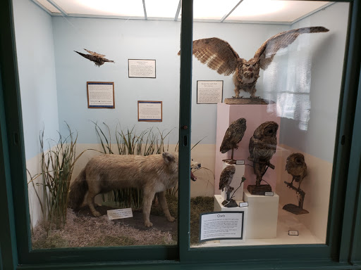 Museum «Elgin Public Museum», reviews and photos, 225 Grand Blvd, Elgin, IL 60120, USA