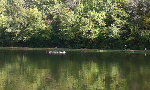 Fishing Store «Indian Creek Fishing & Fire Arms», reviews and photos, 3479 Mango Dr, Danielsville, PA 18038, USA