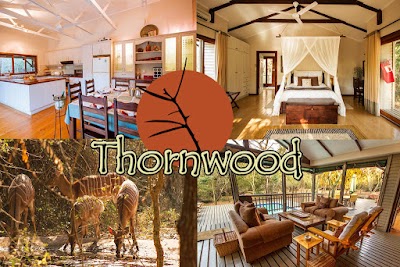 Photos of Thornwood