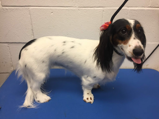 Pet Supply Store «Petsense Foley», reviews and photos, 2139 S McKenzie St, Foley, AL 36535, USA