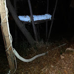 Photo n°12 de l'avis de Giuseppina.o fait le 31/10/2021 à 21:33 sur le  L'Antica Abbazia à Borso del Grappa