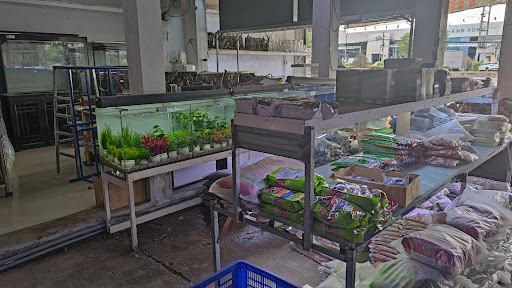 Top 2 cửa hàng cá kiểng Huyện A Lưới Thừa Thiên Huế 2022