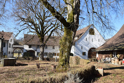 Schloss Böttstein