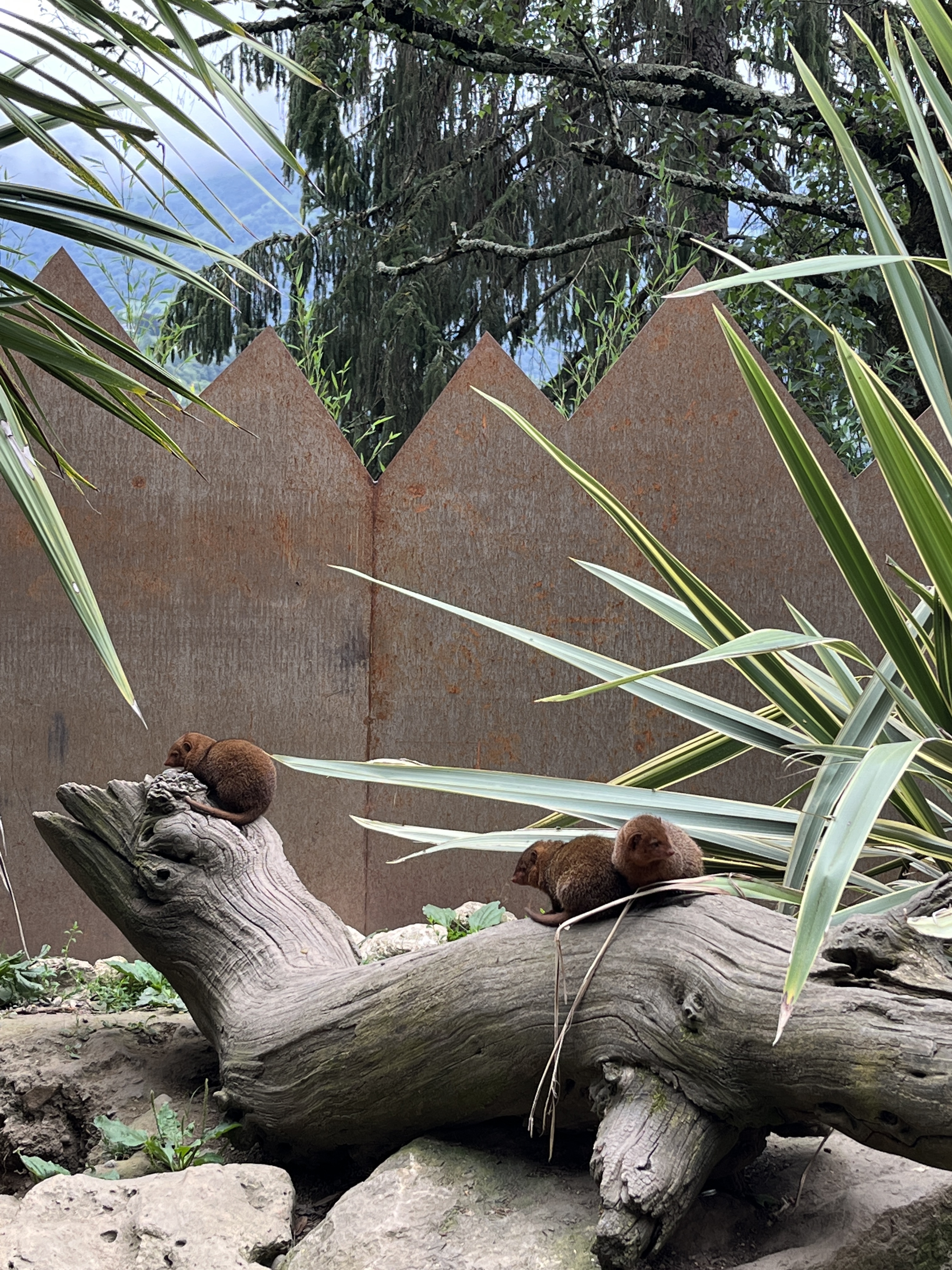 Photo n° 14 de l'avis de QIN.I fait le 16/07/2023 à 10:58