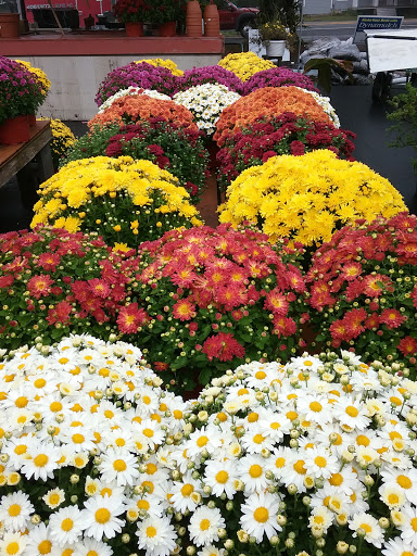 Florist «Davenport Farms», reviews and photos, 3411 US-209, Stone Ridge, NY 12484, USA