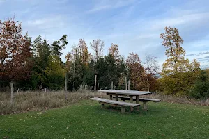 Jardin du bien-être image