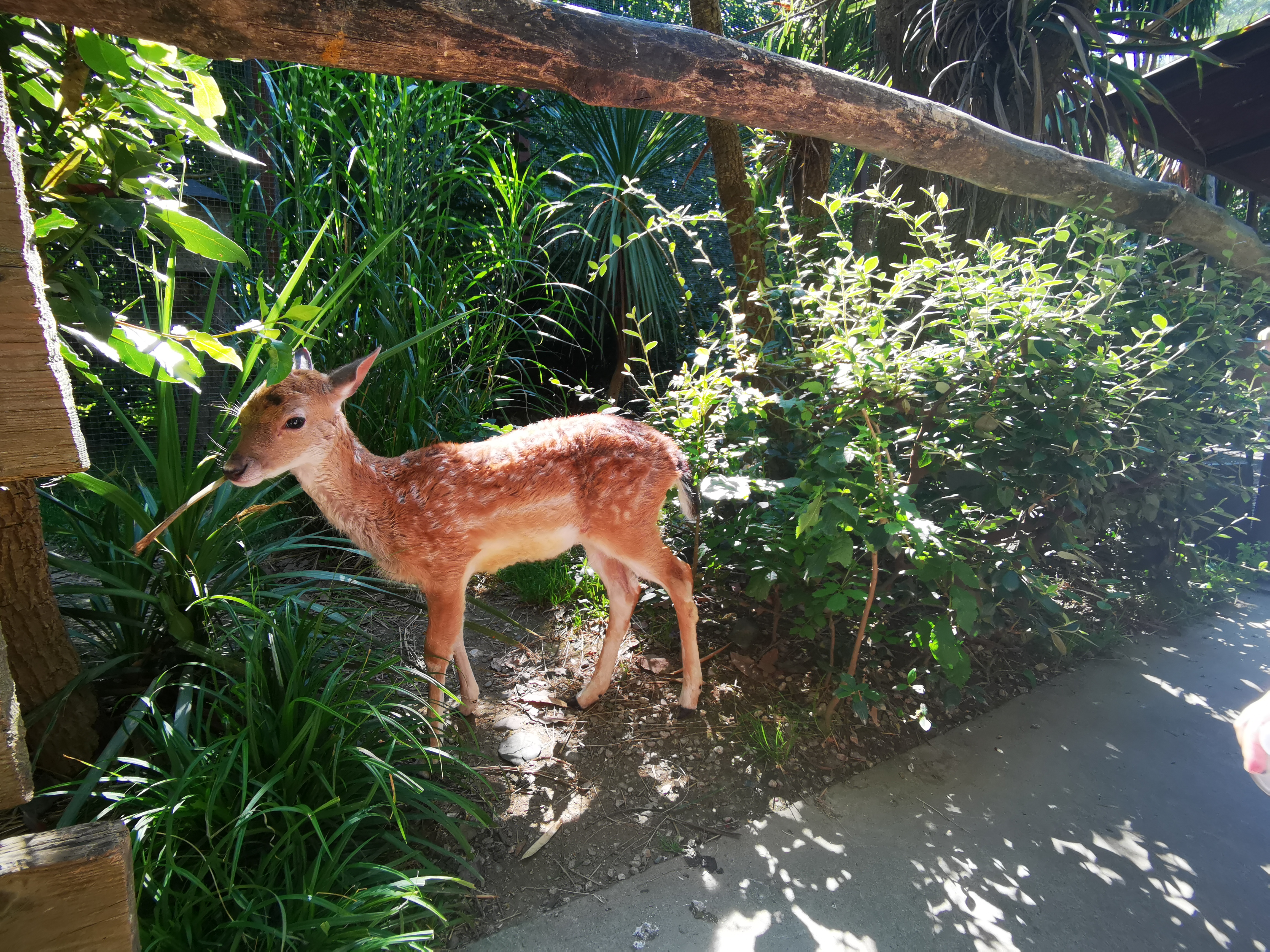 Photo n° 4 de l'avis de Aude.i fait le 29/08/2023 à 21:35
