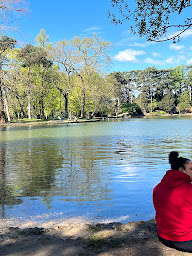 Photo n°229 de La Grande Cascade à Paris ()